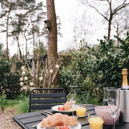 Ultiem Ontspannen In Luxe En Design Ingericht Tiny House Onyx In Bosrijke Omgeving Nunspeet