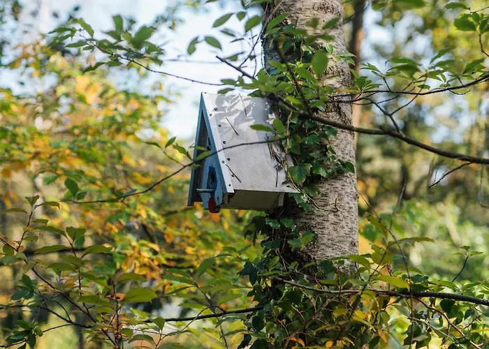 Ultiem Ontspannen In Luxe En Design Ingericht Tiny House Onyx In Bosrijke Omgeving *