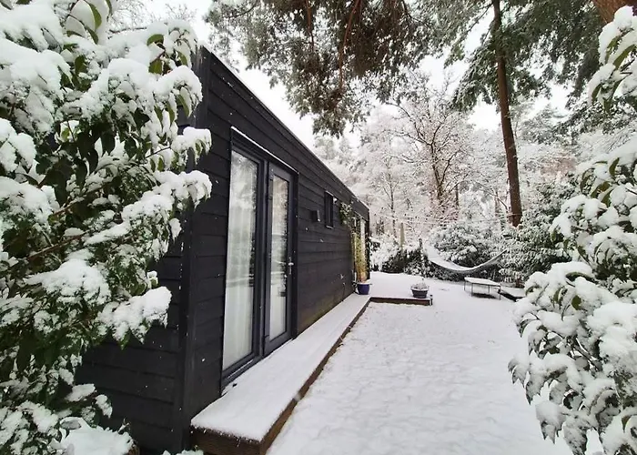 Semesterbostad Ultiem Ontspannen In Luxe En Design Ingericht Tiny House Onyx In Bosrijke Omgeving