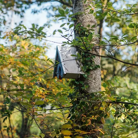 Ultiem Ontspannen In Luxe En Design Ingericht Tiny House Onyx In Bosrijke Omgeving *