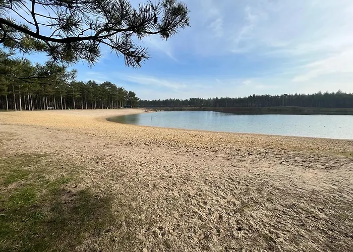 Prázdninový dům Ultiem Ontspannen In Luxe En Design Ingericht Tiny House Onyx In Bosrijke Omgeving *