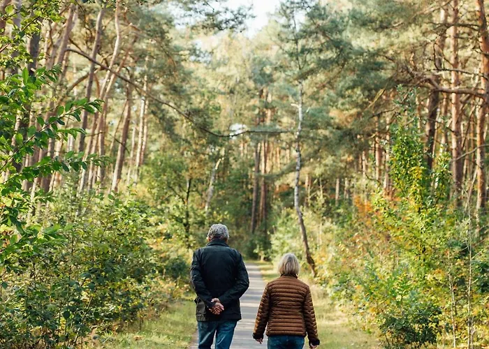 Ultiem Ontspannen In Luxe En Design Ingericht Tiny House Onyx In Bosrijke Omgeving Nunspeet