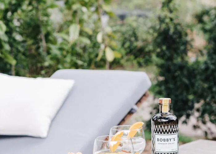 Prázdninový dům Ultiem Ontspannen In Luxe En Design Ingericht Tiny House Onyx In Bosrijke Omgeving Nunspeet