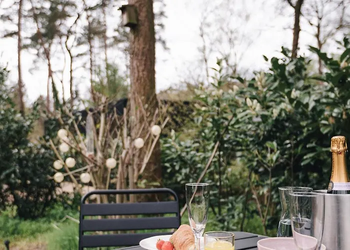 Ultiem Ontspannen In Luxe En Design Ingericht Tiny House Onyx In Bosrijke Omgeving Nunspeet